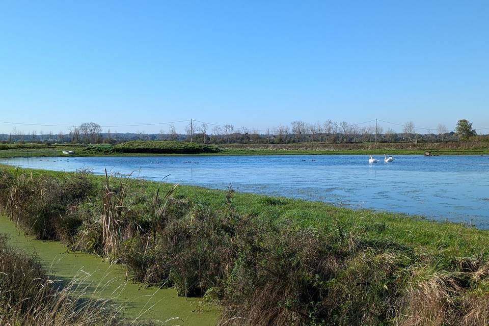 Vue sur les marais