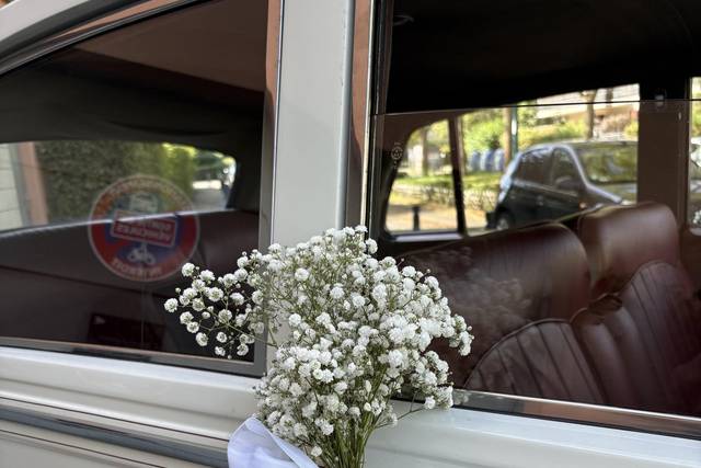Poignées de voiture Mme Anne