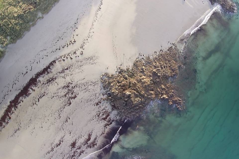 Plage vue du ciel