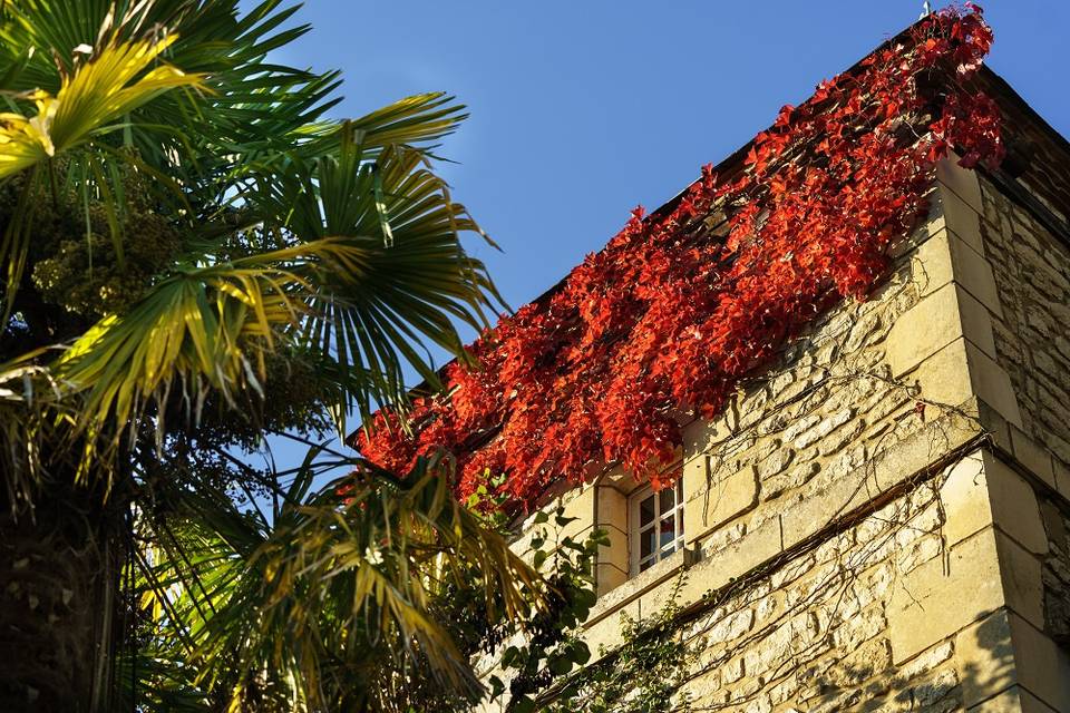 Domaine Mariage Dordogne