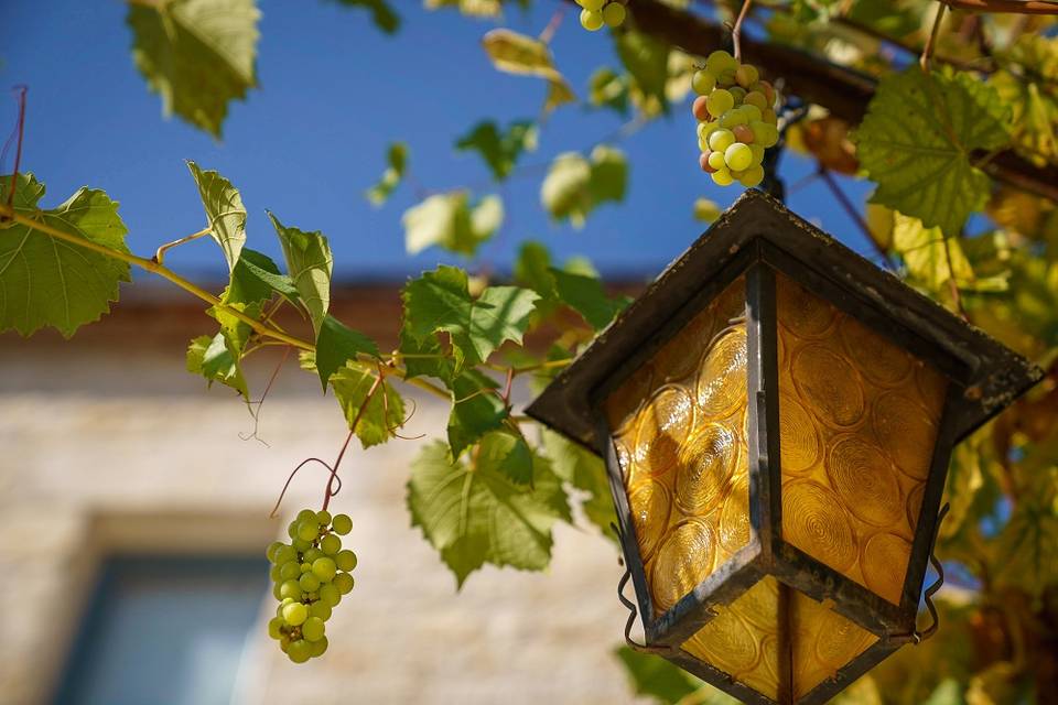 Domaine Mariage Dordogne