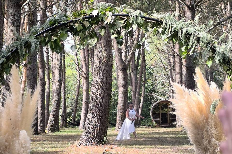 Arrivée mariée sous bois