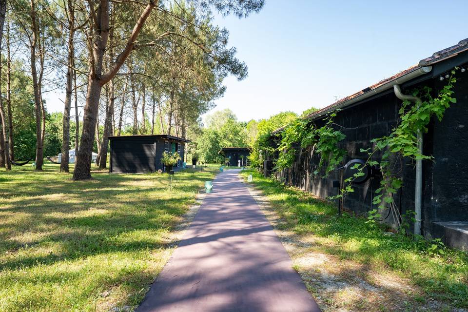 Allée Boisée Chemin entre les hébergements