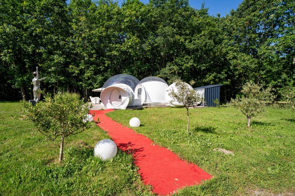 Chemin Bulle Tapis rouge menant à la bulle
