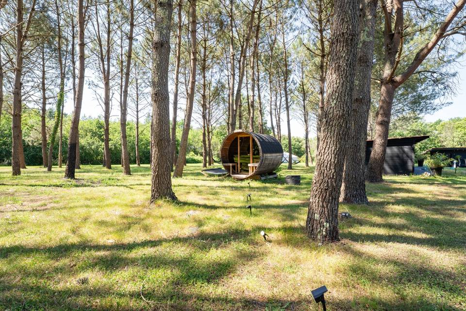 Forêt Cabanes Structures en bois dans la forêt
