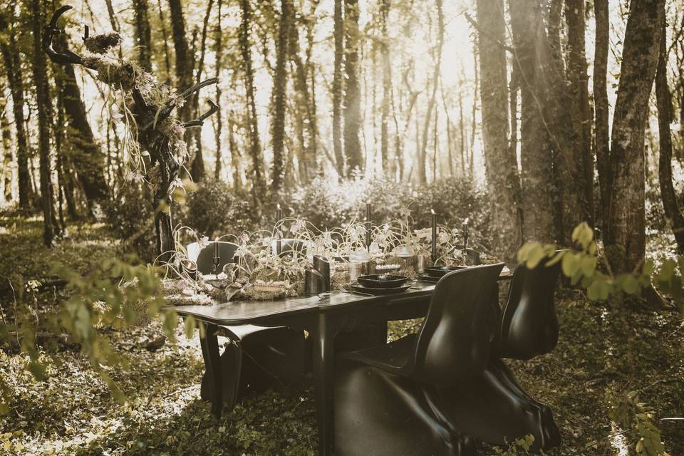 Lost In Sensations table végétalisée et détail traiteur FORET