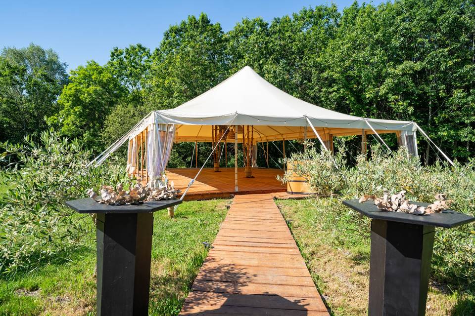 Tonnelle Jardin Tente avec oliviers en pots