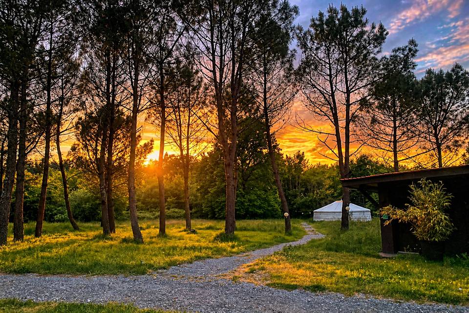 Coucher du soleil