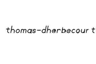 Dherbecourt Thomas Photographe logo