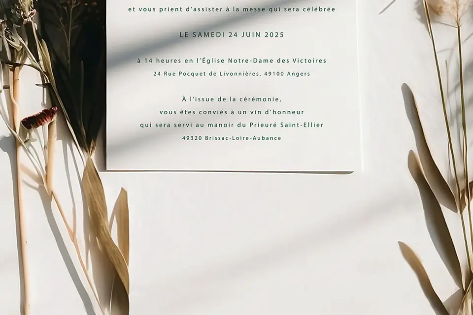 Grande carte anniversaire - les Chats - Studio 48 – L'Art du Papier Paris