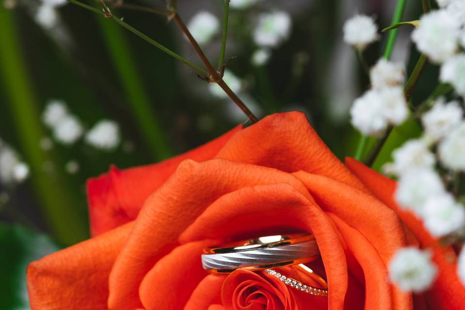 La précision de la photo