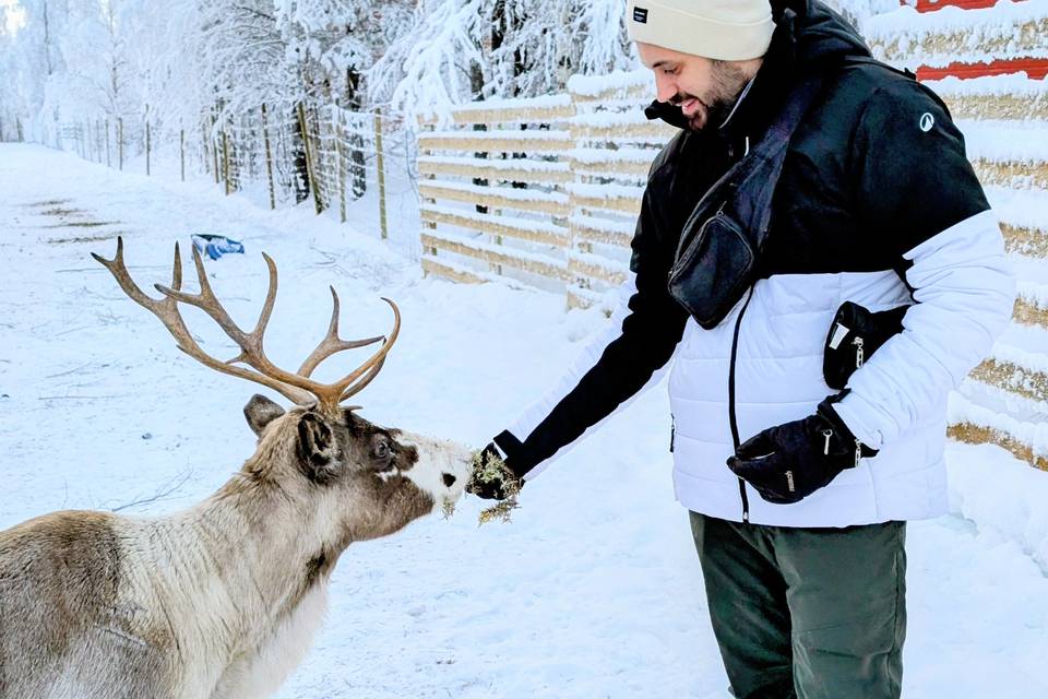 Ethique animale importante