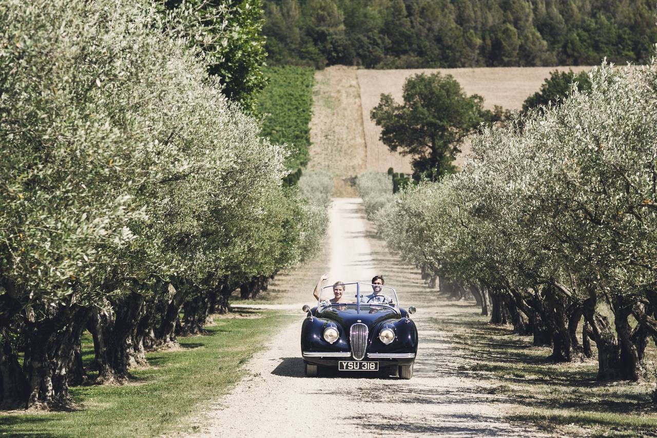 Ch Teau Val Joanis V Rifiez La Disponibilit Et Les Prix