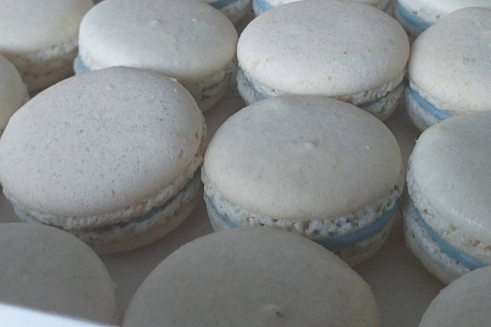 Macarons