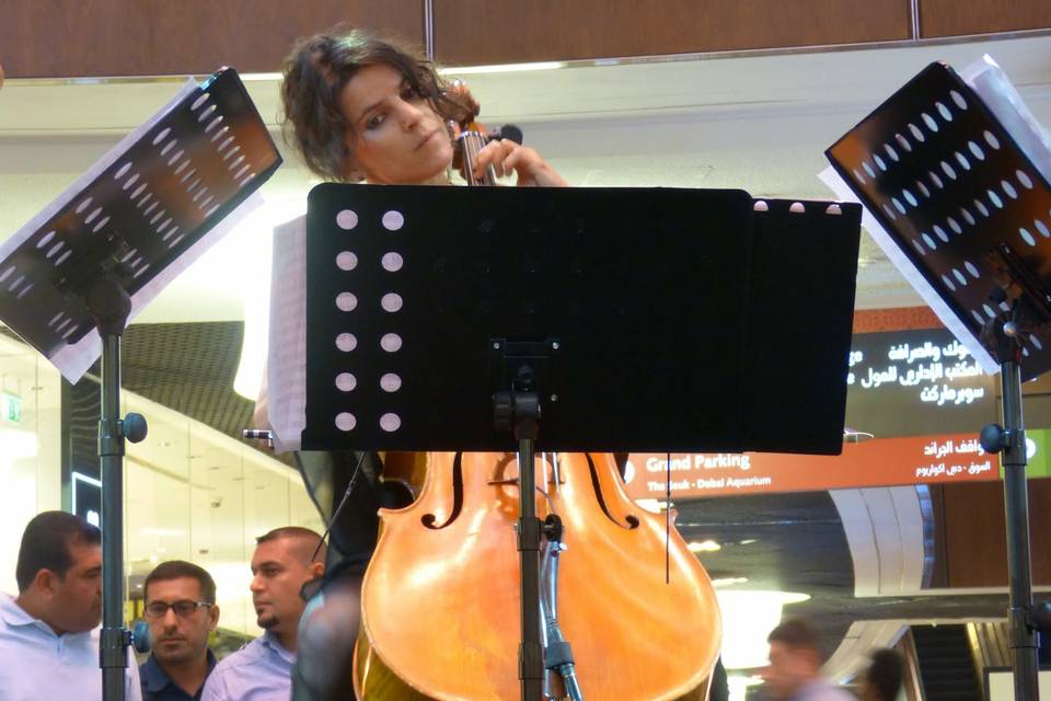 Audrey Podrini, Cello