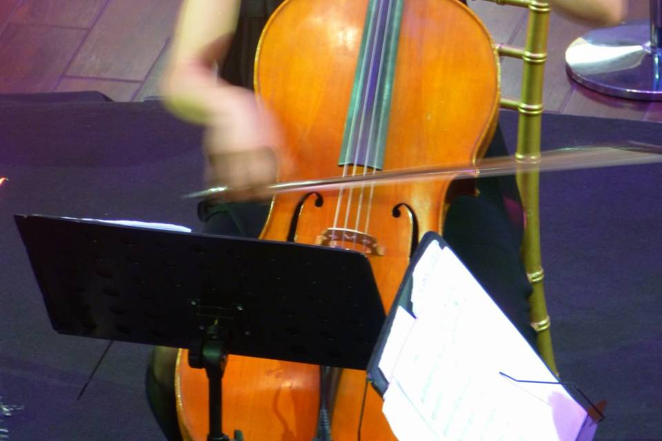 Audrey Podrini, Cello