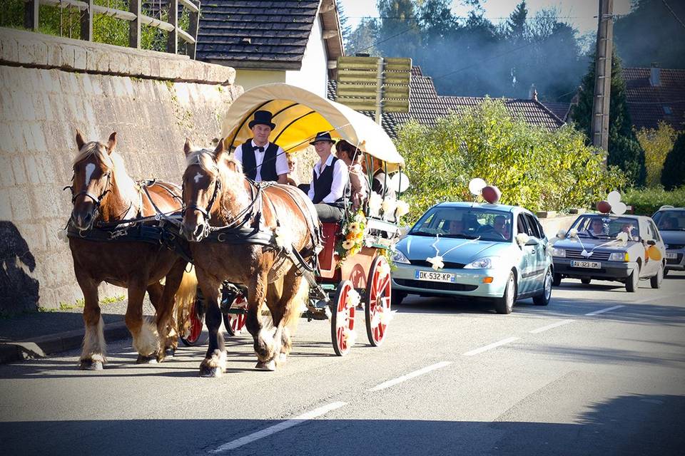 Mariage à la mairie