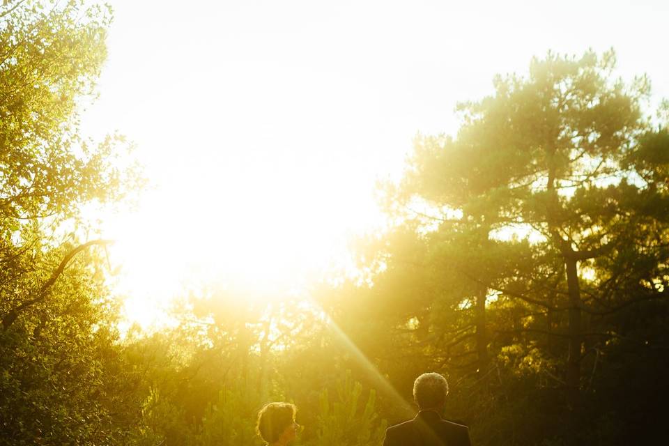 Mariage Pascale & Louis