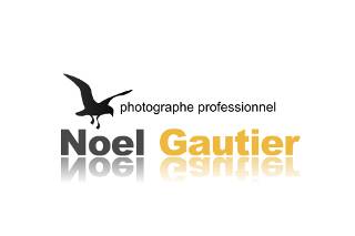 Logo Noel Gautier