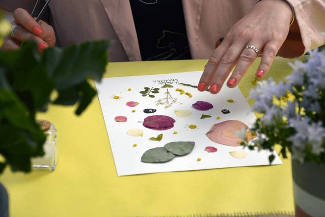 Atelier herbier