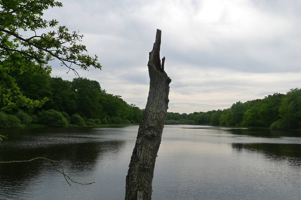 Les Etangs de Vaux