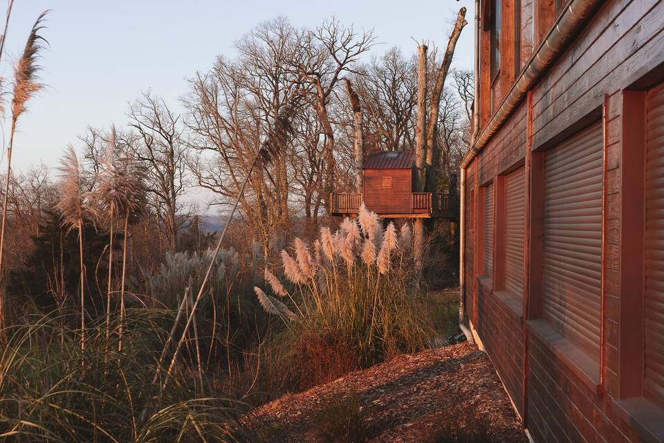 Maison dans les arbres