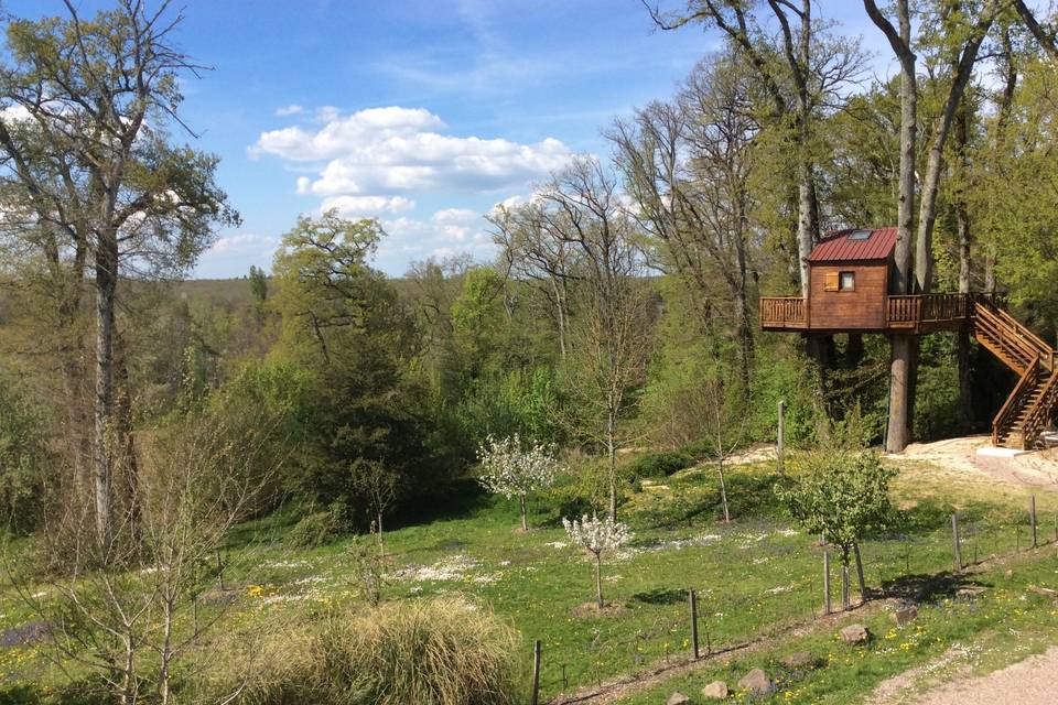 Maison dans les arbres