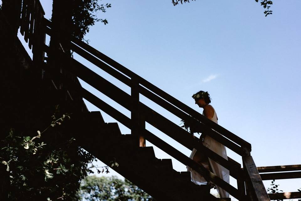 Escalier maison arbres