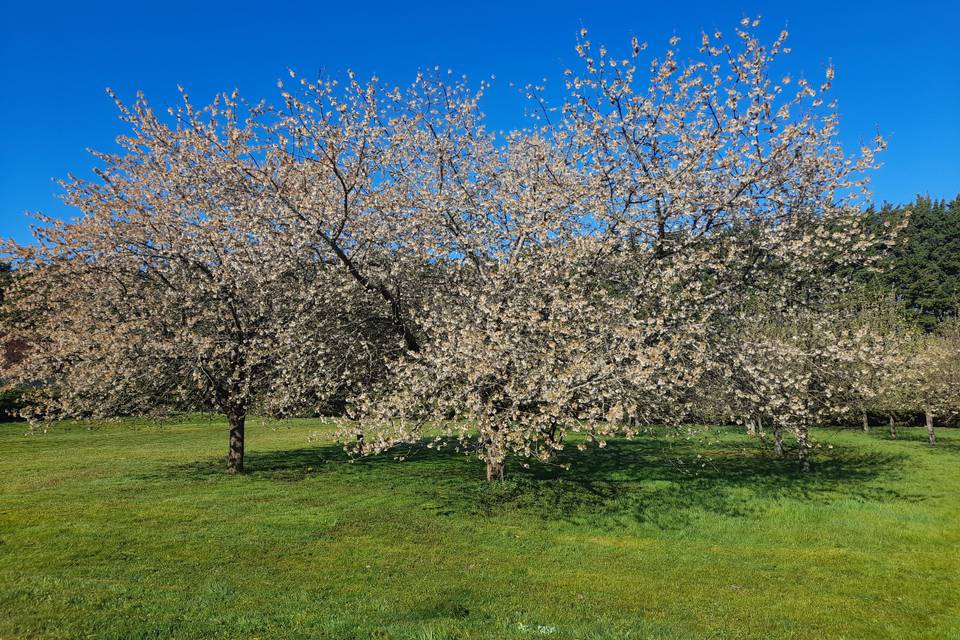 Printemps au Nature-Lodge