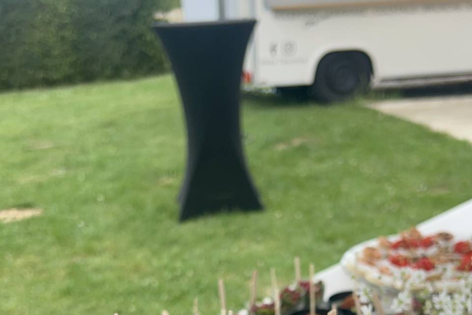 Feuilles de vigne