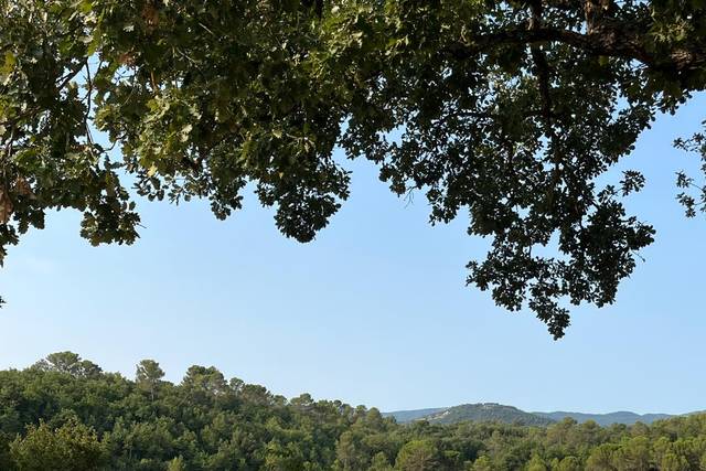 Une vue magnifique