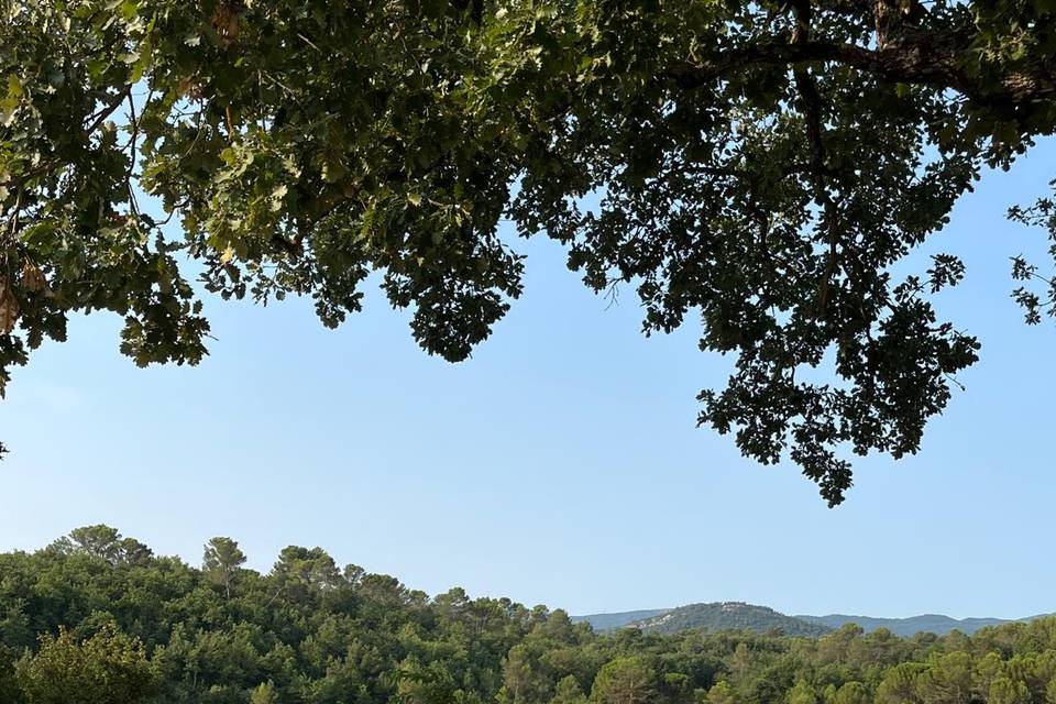 Une vue magnifique