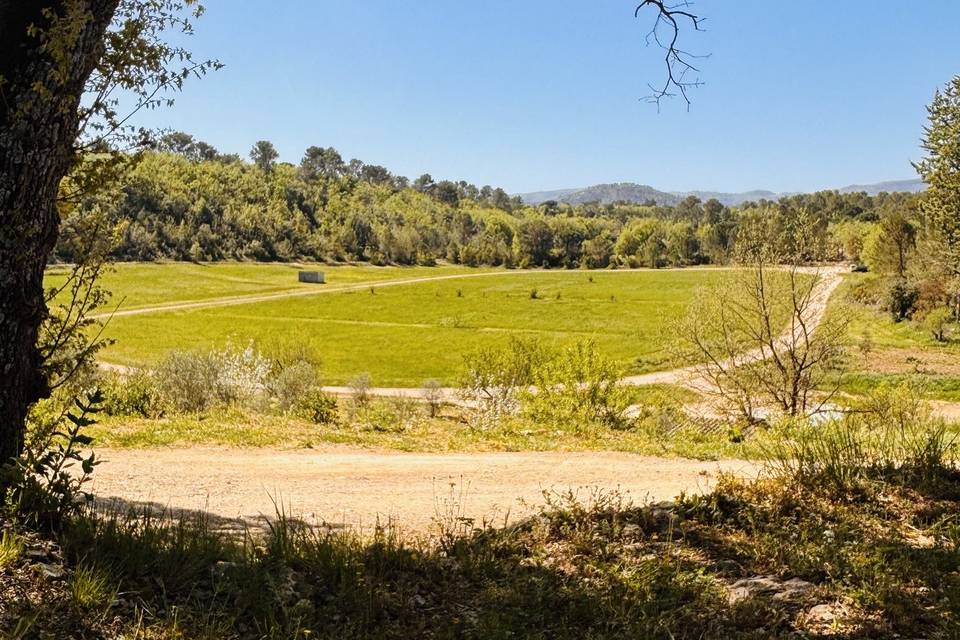 Vu panoramique du domaine