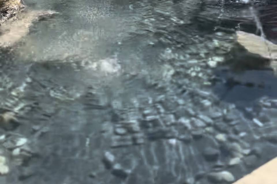 La fontaine