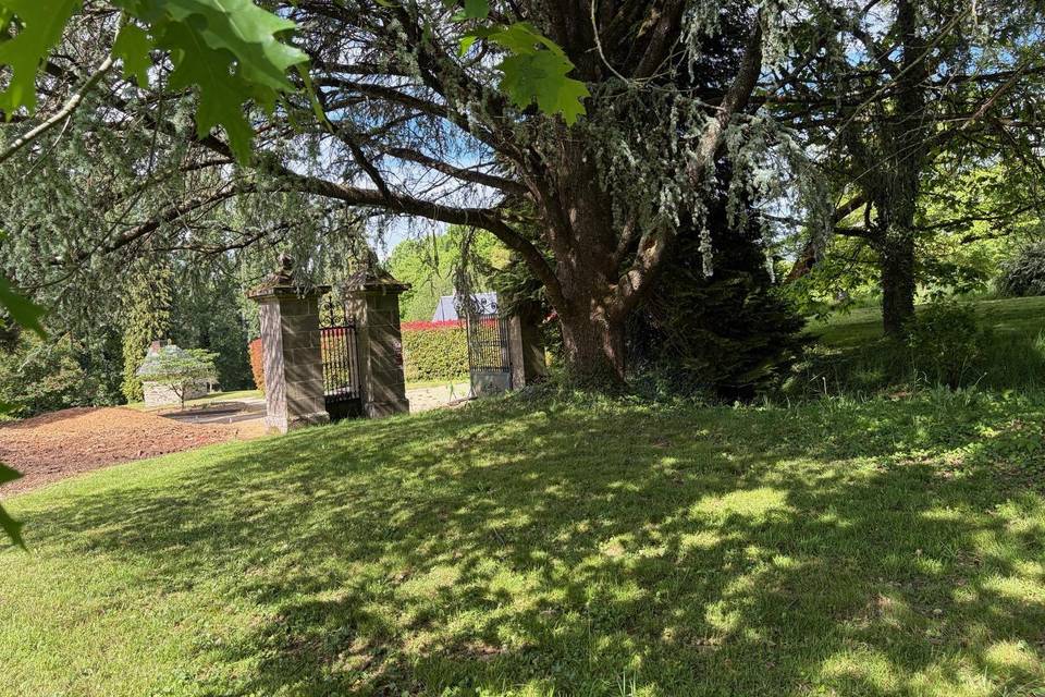 Lawn2