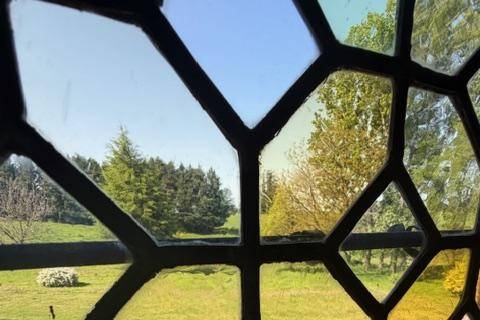 Window
