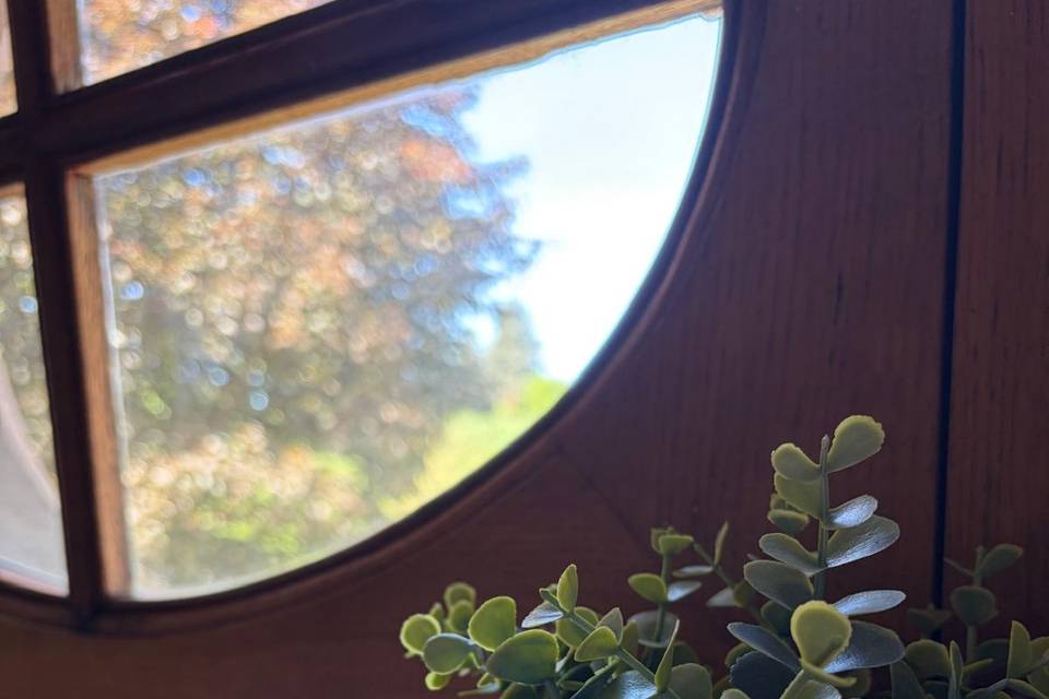 Window