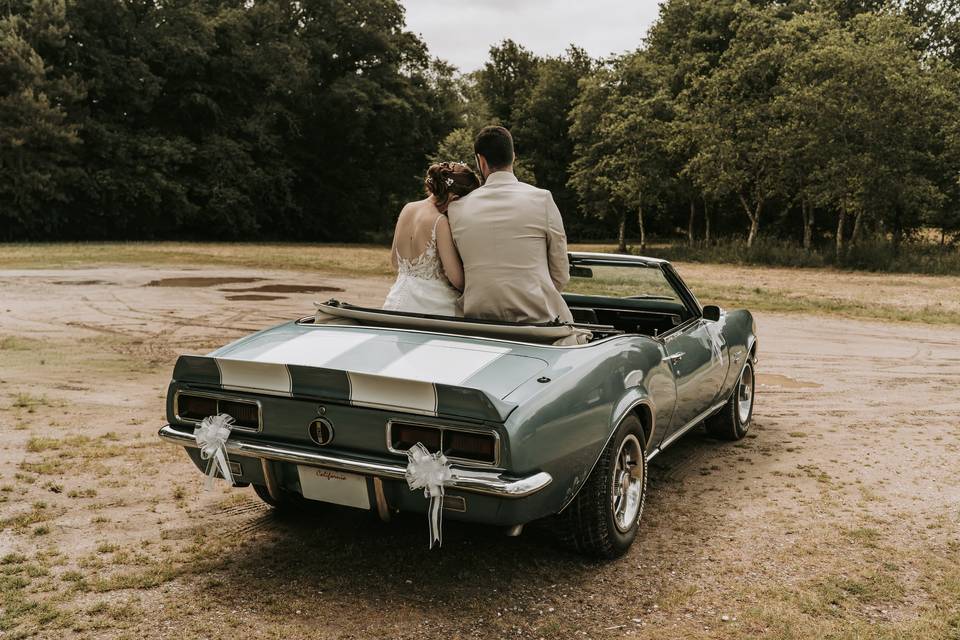 Camaro M & T