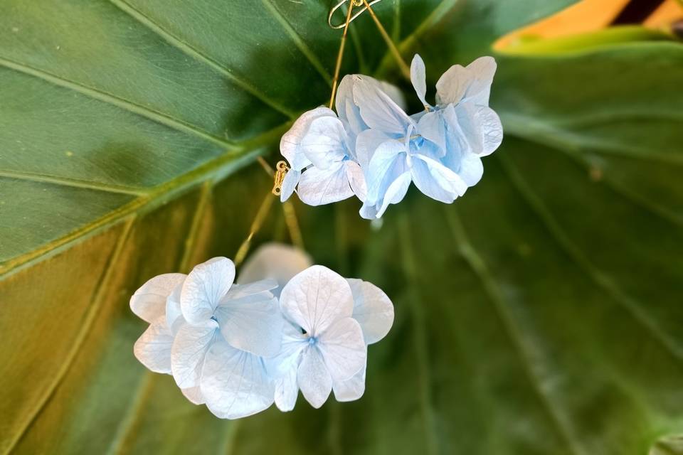 Triangle hortensia bleu