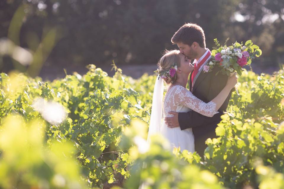 Photo dans les vignes