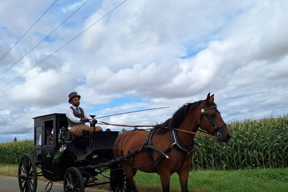 Némésis et le petit coupé