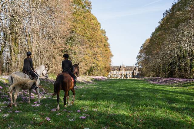 Allée des Cavaliers