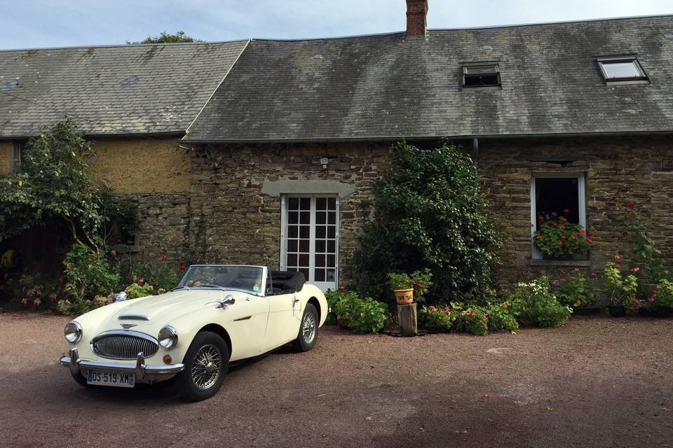 Austin Healey