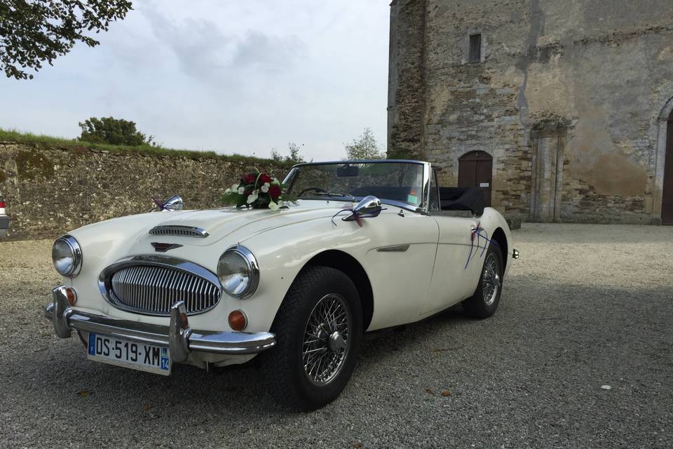 Austin Healey