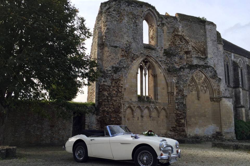 Austin Healey