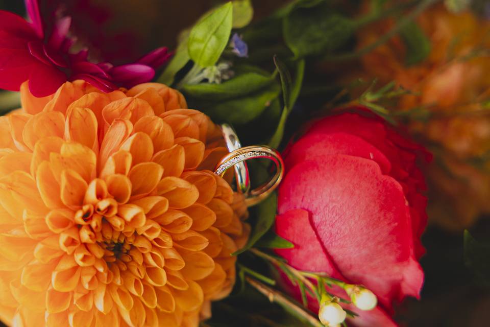 Bagues alliances mariage tarn