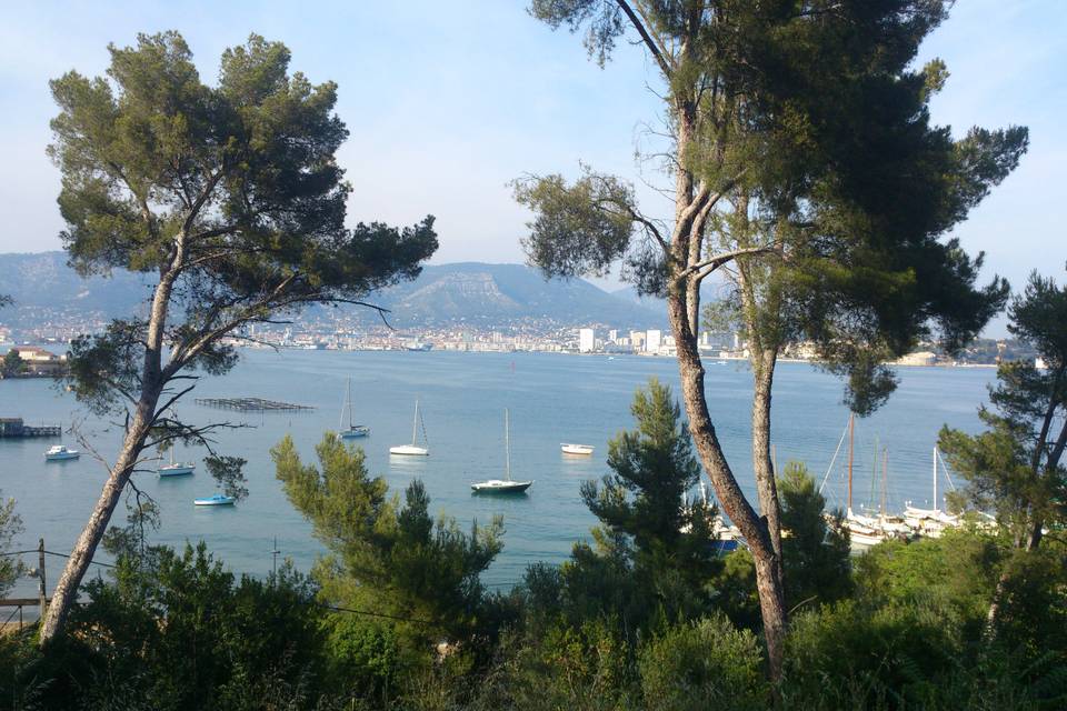 Baie de Toulon