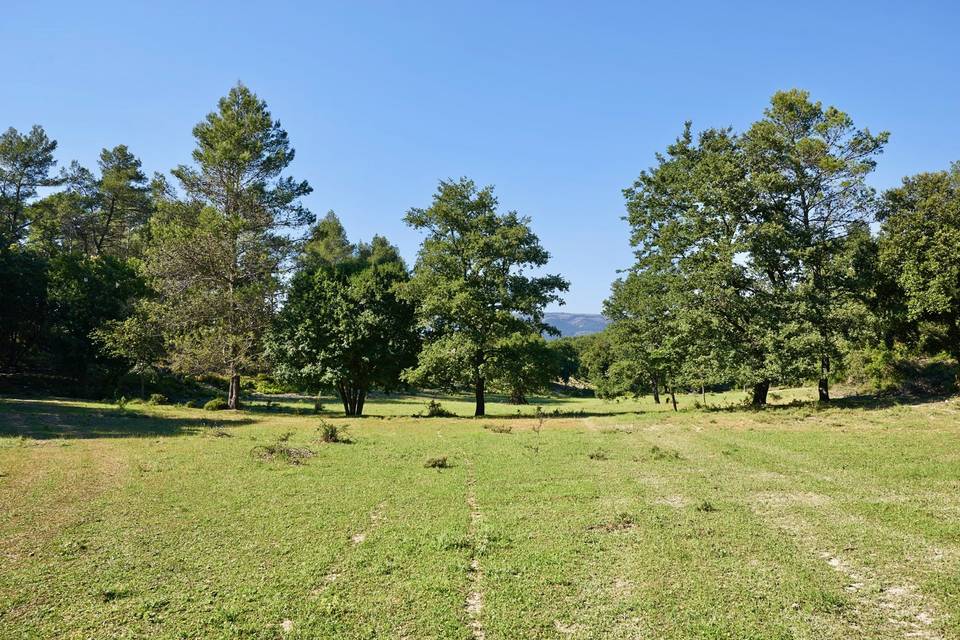 Le grand champ sous la Bastide