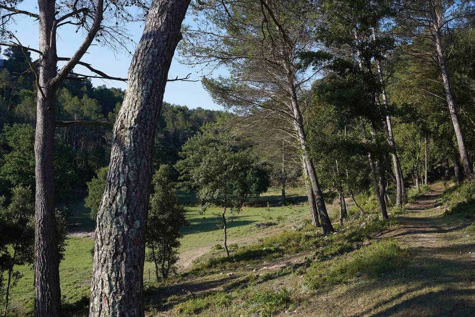 Vue de la Bastide