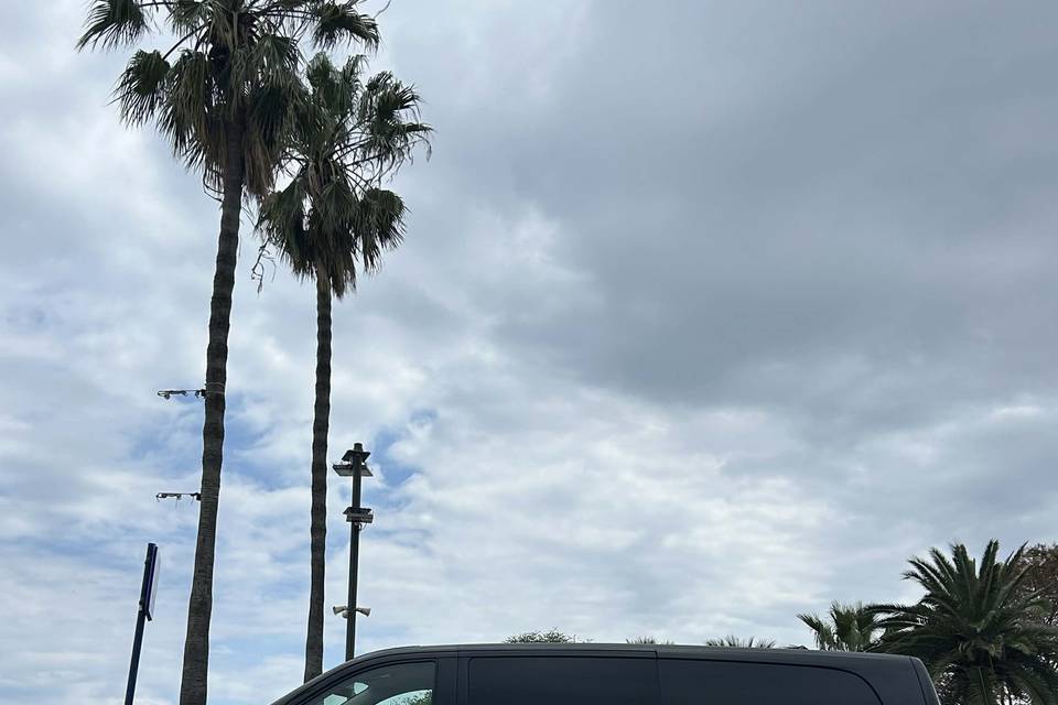 Marina VTC